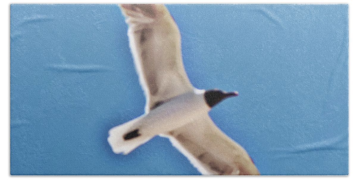 Seagull Bath Towel featuring the photograph Seagull in Flight by Gina O'Brien