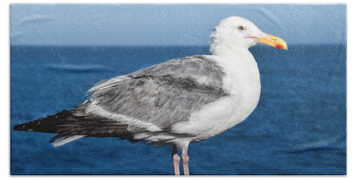 Seagull Bath Towel featuring the photograph Seagull posing on the pier by Dany Lison