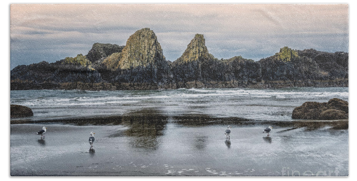 Alandersen.com Bath Towel featuring the photograph Seagulls On Beach At Seal Rock by Al Andersen