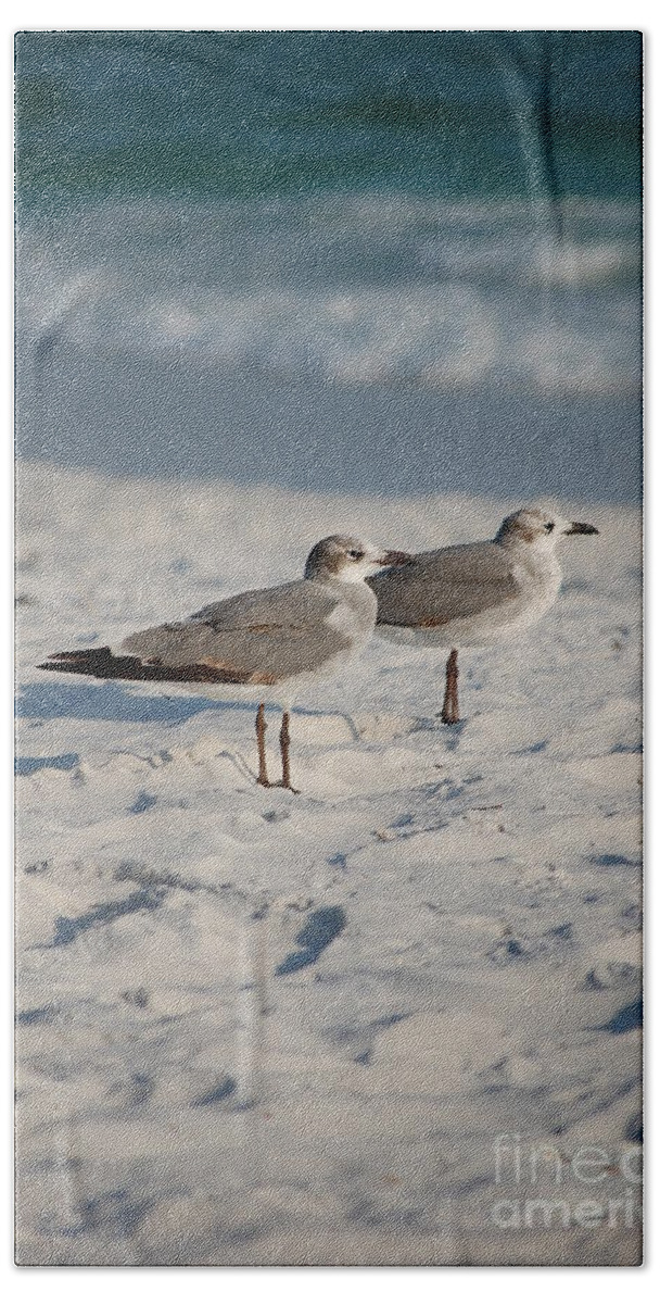 Seagulls Bath Towel featuring the photograph Seagulls by Robert Meanor