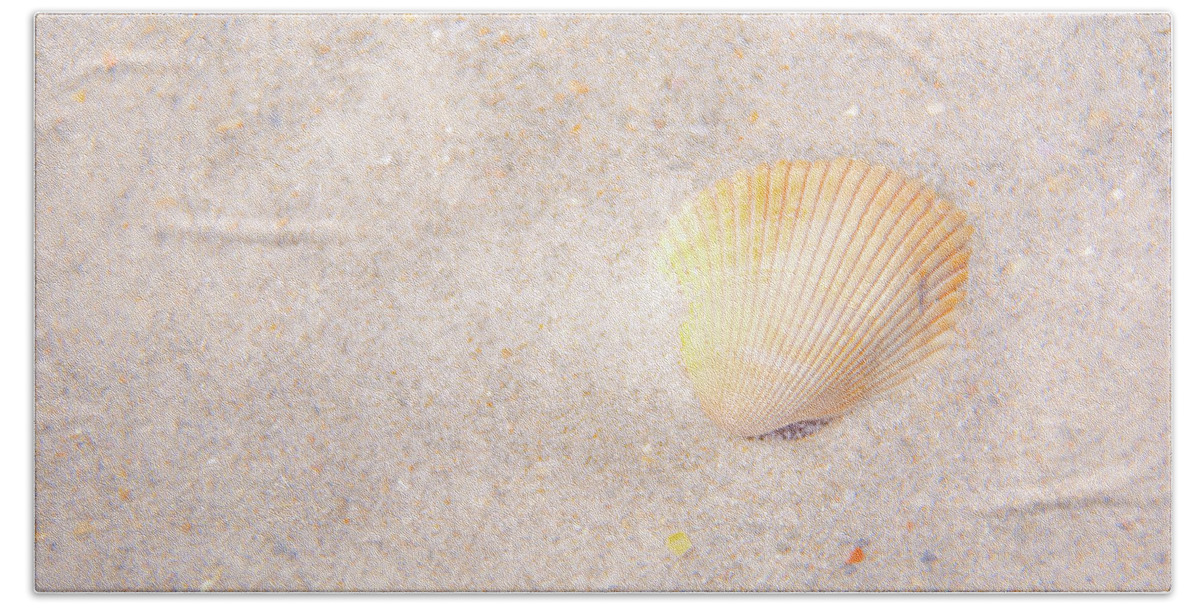 Shell Bath Towel featuring the photograph Seashell by Pamela Williams
