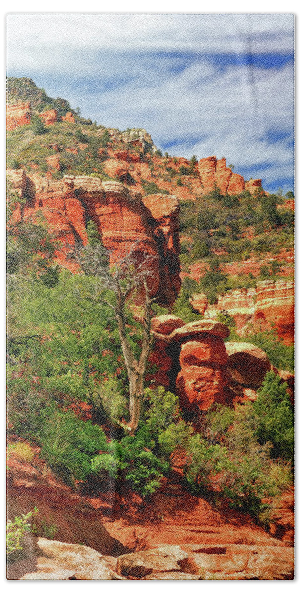 Landscape Bath Towel featuring the photograph Sedona I by Ron Cline