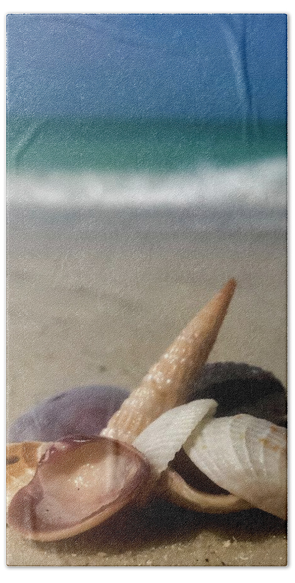 Seashell Hand Towel featuring the photograph See Shells by Terri Hart-Ellis