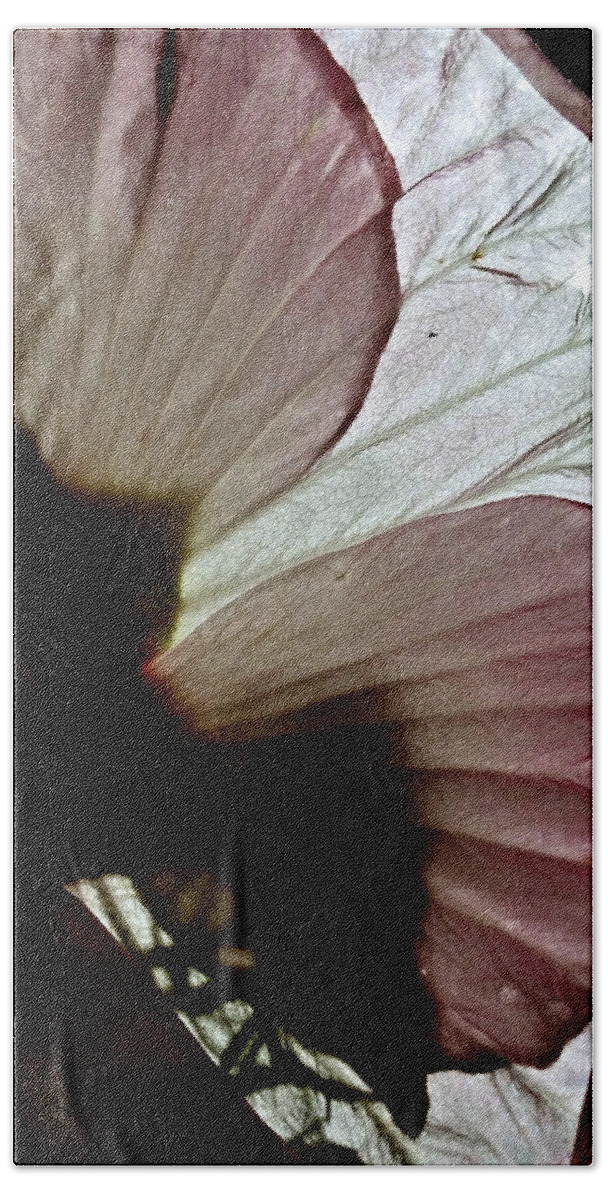 Sunlight Bath Towel featuring the photograph I Could be Butterfly Wings Hibiscus by Kathy Barney