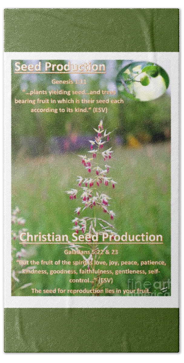 Seeds Hand Towel featuring the photograph Seed Production by Merle Grenz