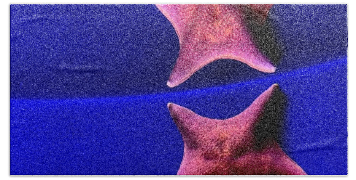 Star Fish Bath Towel featuring the photograph Seeing Double by Denise Railey