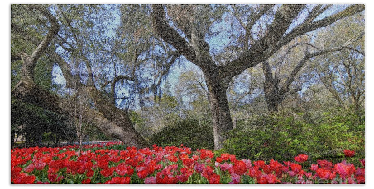 Oak Trees Hand Towel featuring the photograph Seeing Red by Julie Adair