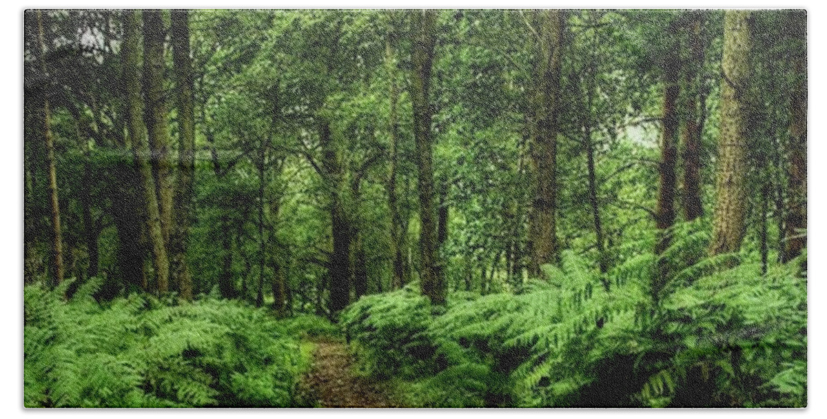 Nature Bath Towel featuring the photograph Seeswood, Nuneaton by John Edwards
