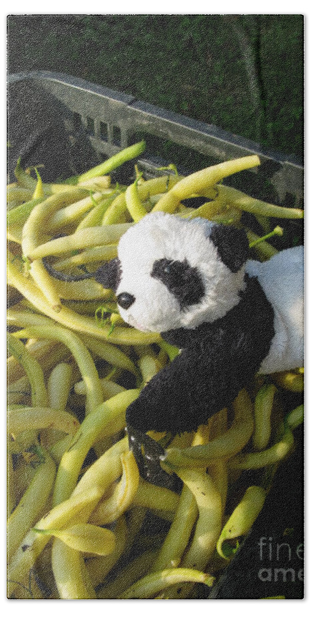 Baby Panda Hand Towel featuring the photograph Selling beans by Ausra Huntington nee Paulauskaite