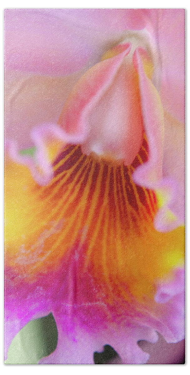 Cleveland Botanical Gardens Hand Towel featuring the photograph Sensual Floral by Stewart Helberg