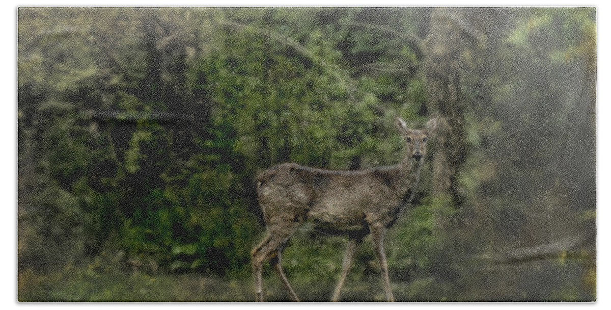 Deer Bath Towel featuring the photograph Separated and Diseased by David Yocum