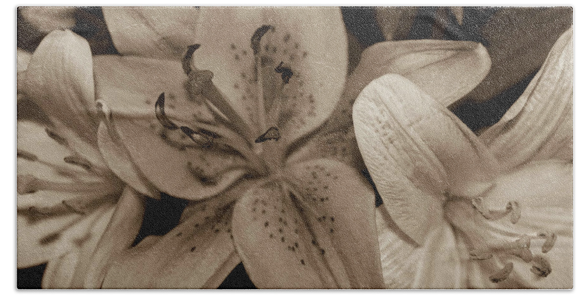 Flower Hand Towel featuring the photograph Sepia Flowers by Carolyn Ricks