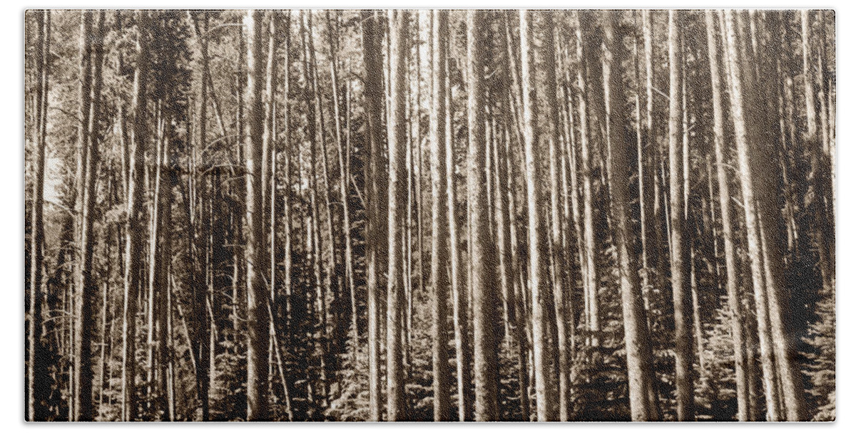 Sepia Hand Towel featuring the photograph Sepia Forest by Marilyn Hunt