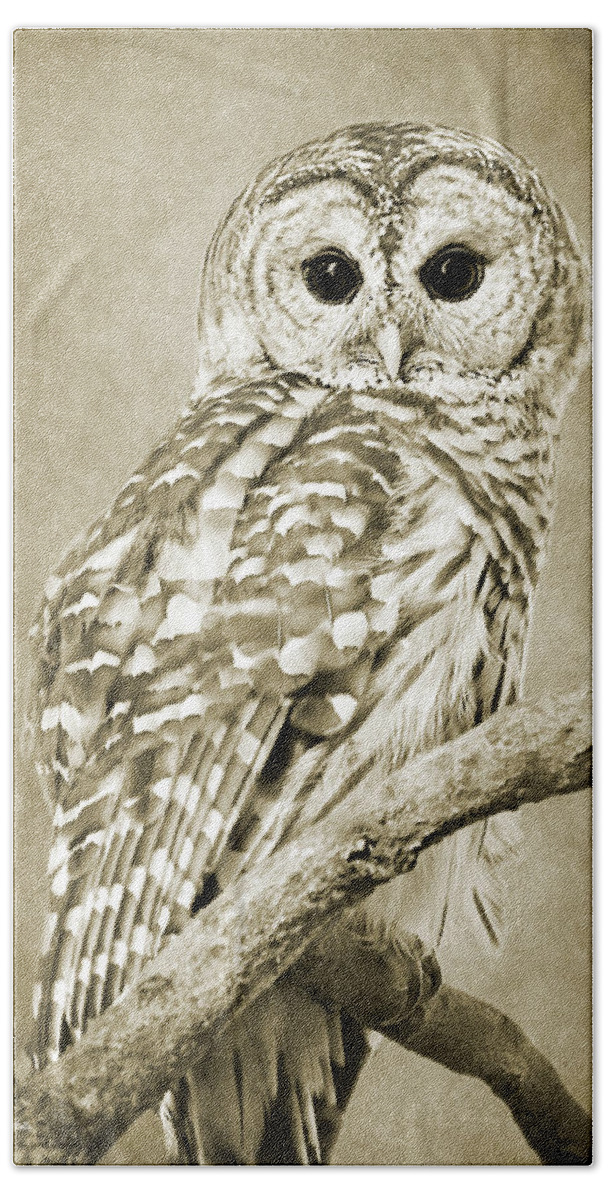 Owl Bath Towel featuring the photograph Sepia Owl by Christina Rollo