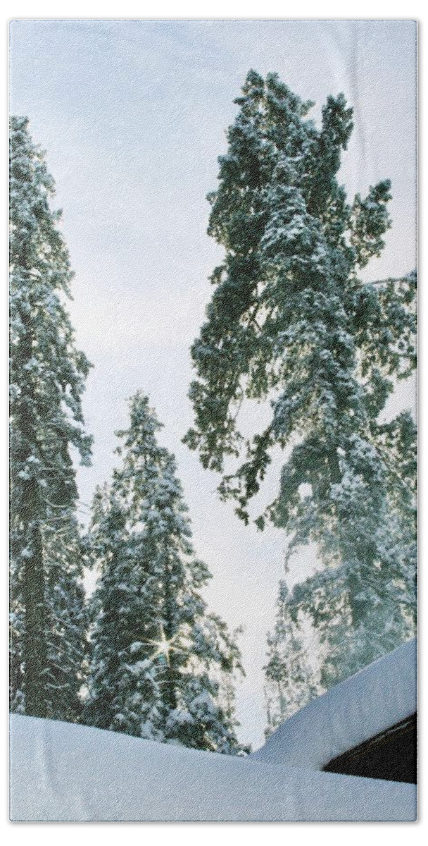 Winter Bath Towel featuring the photograph Sequoia Park by Masha Batkova