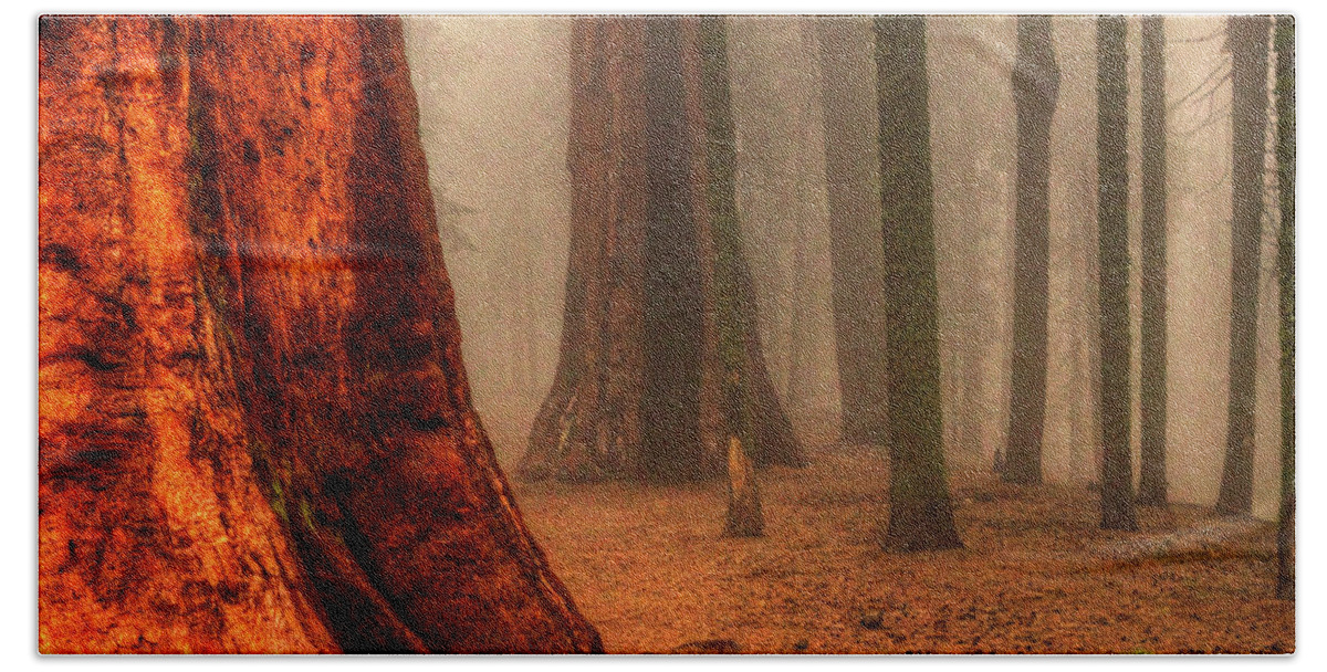 California Bath Towel featuring the photograph Sequoias touching the Clouds by Roger Passman
