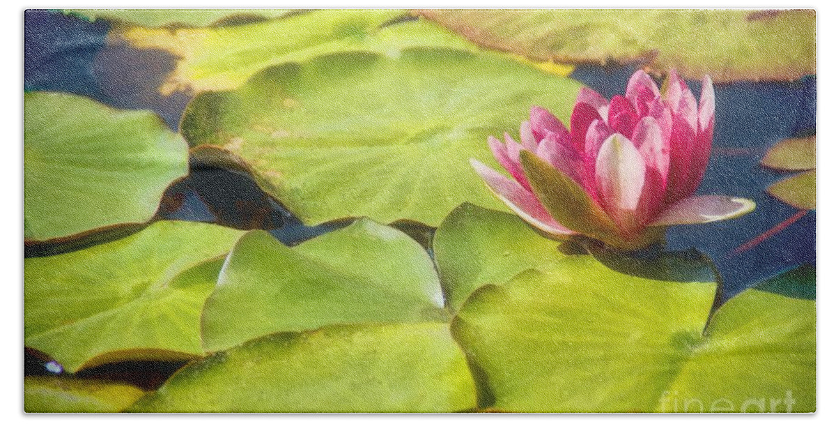 Pink Hand Towel featuring the photograph Serenity And Solitude by Peggy Hughes