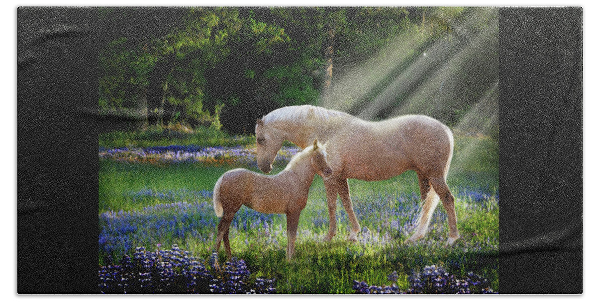 Horse Photography Hand Towel featuring the photograph Serenity by Melinda Hughes-Berland