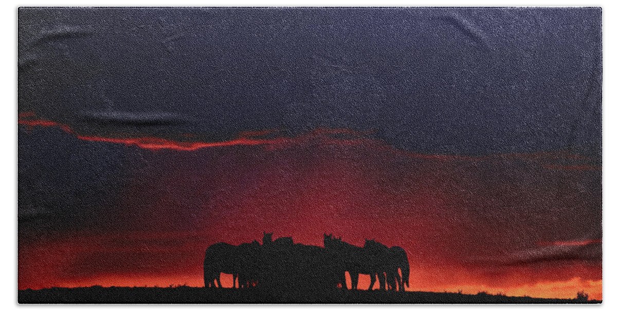 Horses Bath Towel featuring the digital art Set sun silhouetting horses on Saskatchewan ridge by Mark Duffy