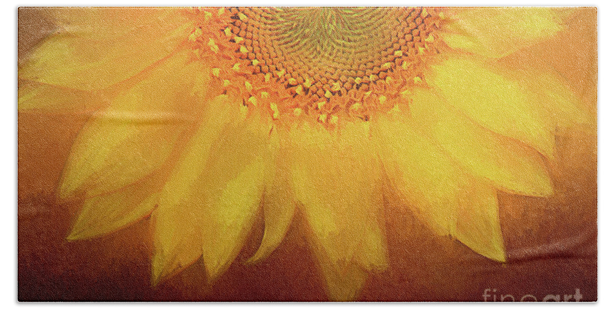 Setting Sunflower Hand Towel featuring the photograph Setting Sun by Darren Fisher