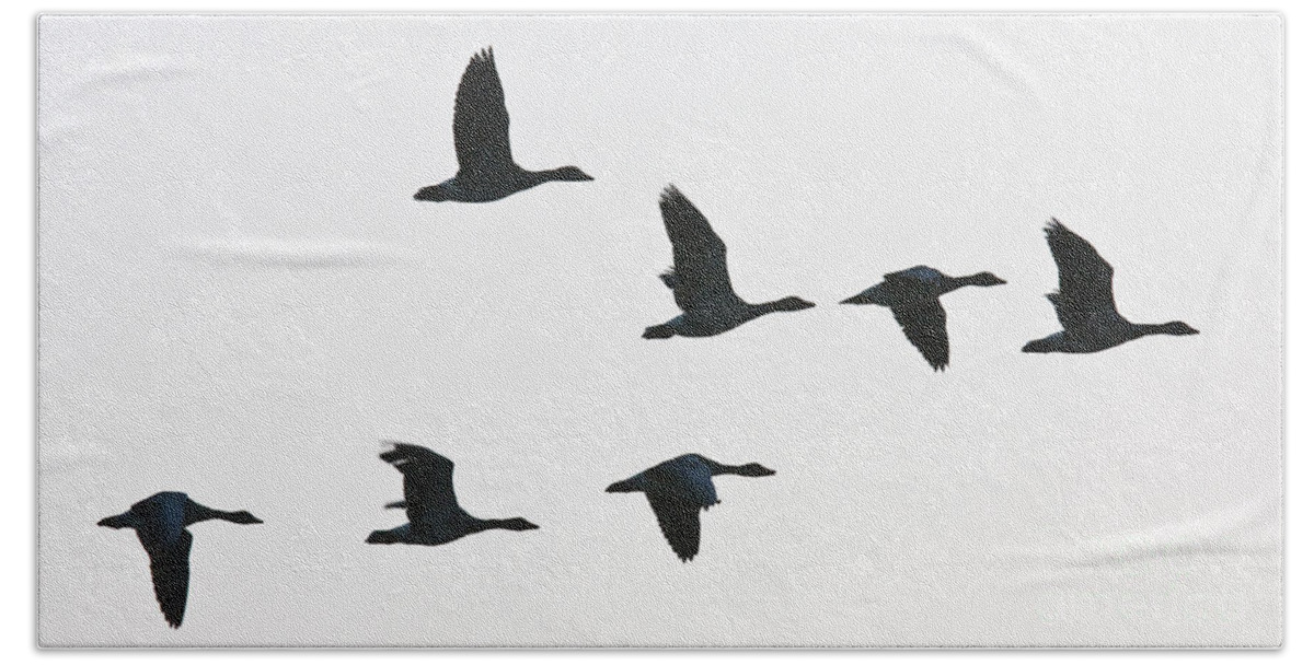 Geese Bath Towel featuring the photograph Sevenfold geese by Casper Cammeraat