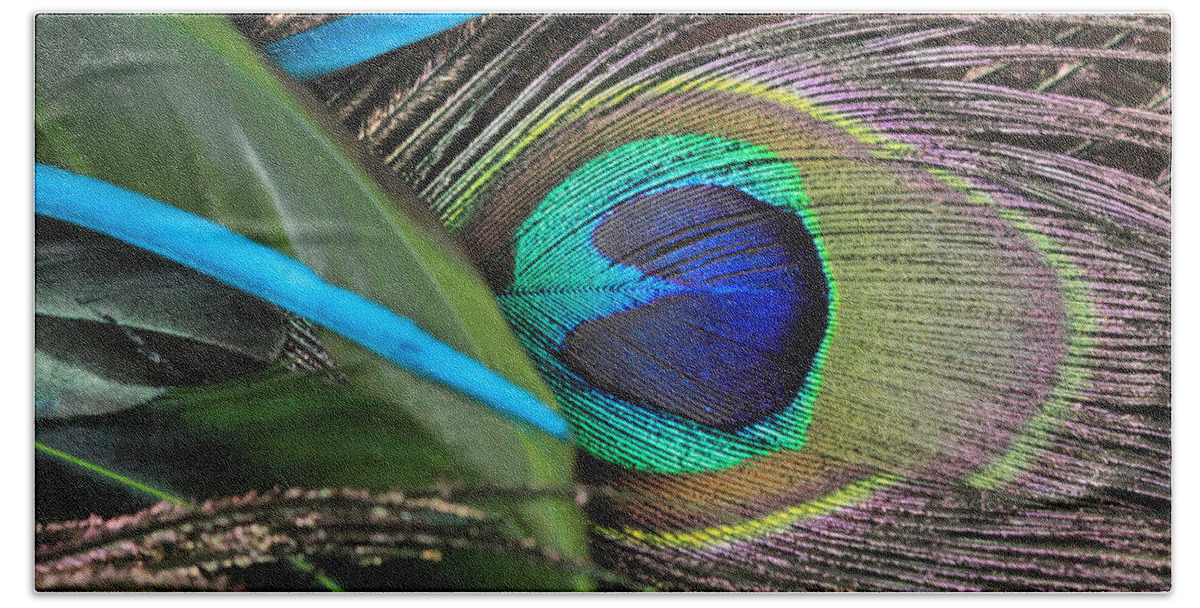 Peacock Bath Towel featuring the photograph Several Feathers by Angela Murdock
