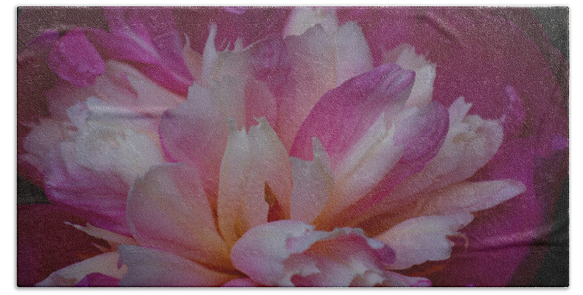 Peony Bath Towel featuring the photograph Shades of Pink by Lori Tambakis