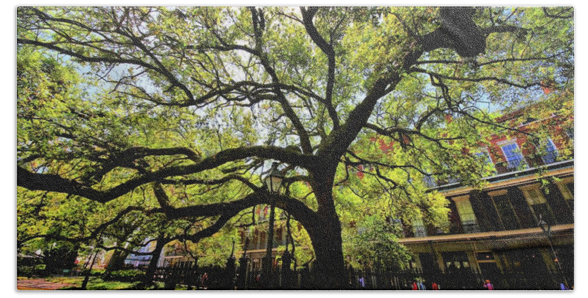 Trees Bath Towel featuring the photograph Shady Lane by Robert McCubbin