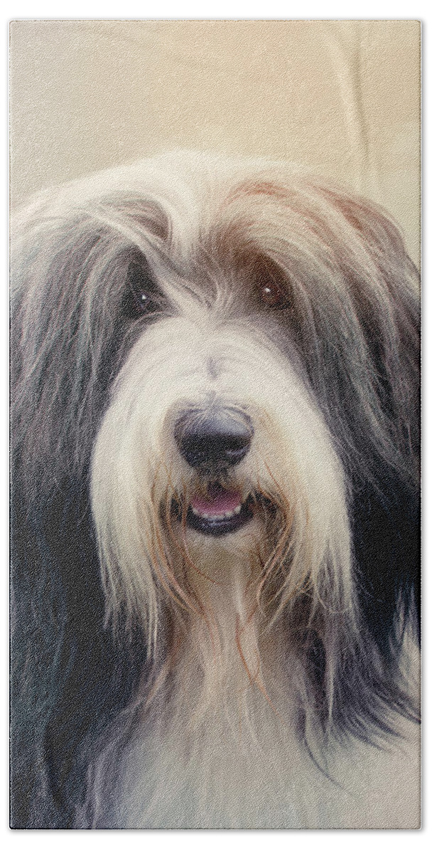 Dog Hand Towel featuring the photograph Shaggy Dog by Ethiriel Photography
