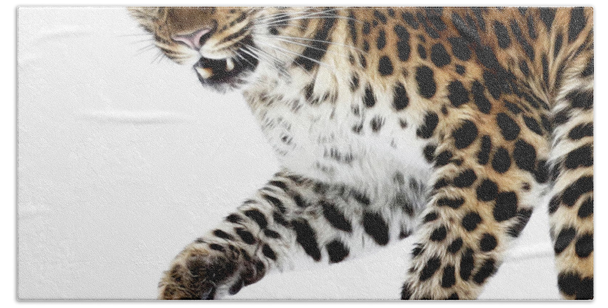 Leopard Bath Towel featuring the photograph Shake on It by Steve McKinzie