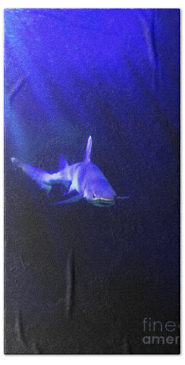 Shark Hand Towel featuring the photograph Shark by Jill Battaglia