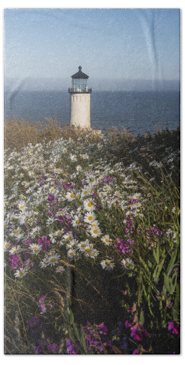 Cape Disappointment State Park Bath Towel featuring the photograph Shasta Daisies at North Head Lighthouse. by Robert Potts