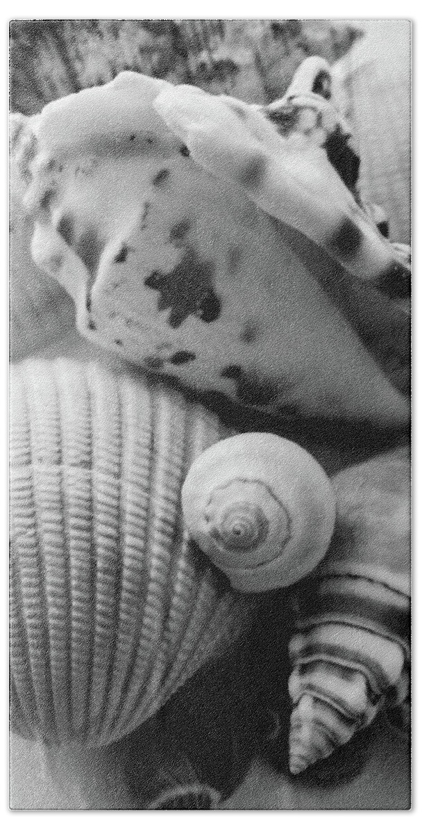 Seashells Bath Towel featuring the photograph She Sells Seashells by Julia Wilcox