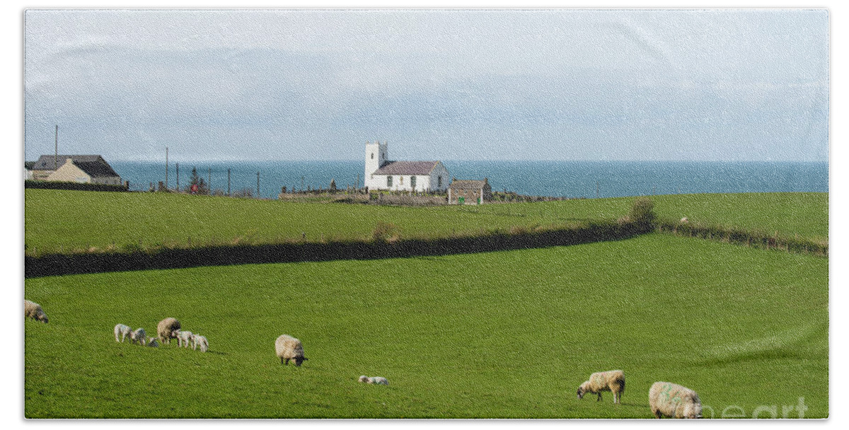 Ballintoy Hand Towel featuring the photograph Sheep Grazing on Irish Coastline by Juli Scalzi