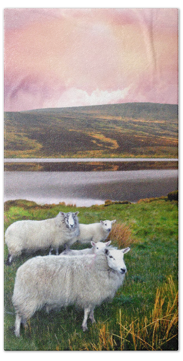Ireland Hand Towel featuring the digital art Sheep of Donegal by Vicki Lea Eggen