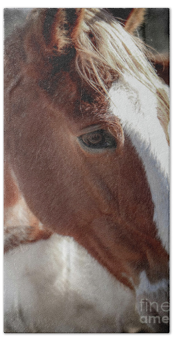 Horses Hand Towel featuring the photograph Shelby Farms Horses by Veronica Batterson
