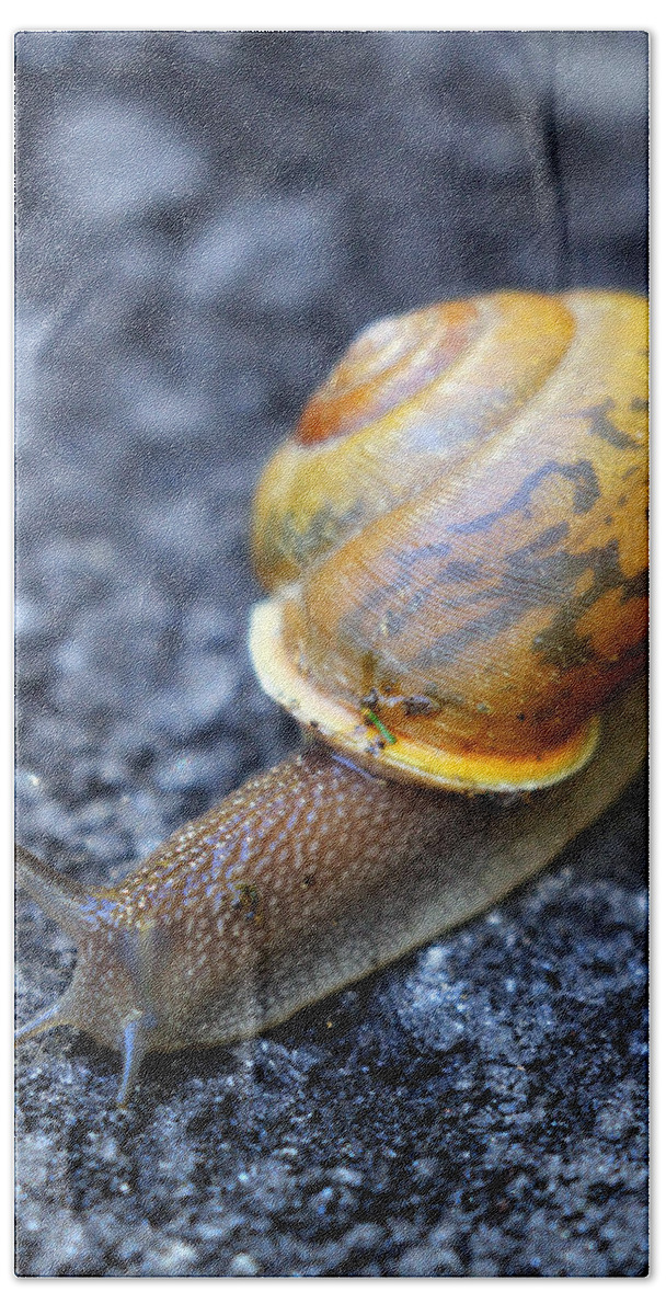Snail Bath Towel featuring the photograph Shell Shock by Jennifer Robin