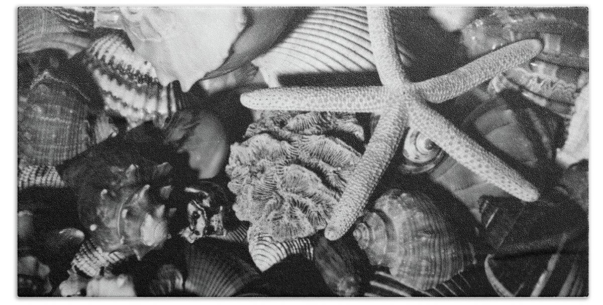 Sea Stars Bath Towel featuring the photograph Shells and Starfish in Black and White by Angie Tirado