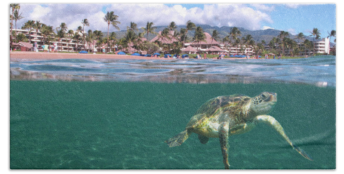Maui Ocean Art Turtle Hawaii Sheraton Hand Towel featuring the photograph Sheraton Maui by James Roemmling