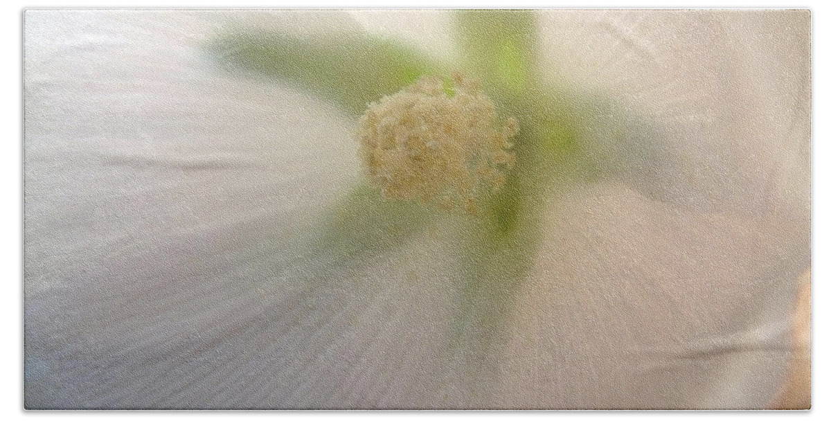 Blossom Hand Towel featuring the photograph Shimmer by RC DeWinter
