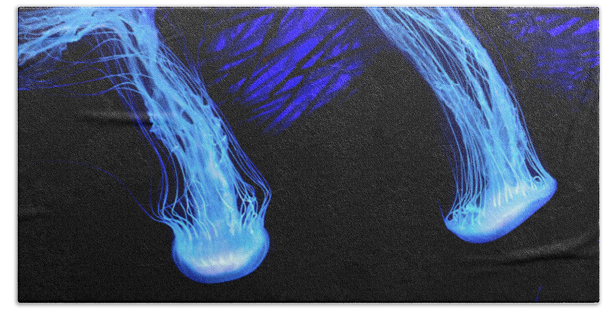Jellyfish Hand Towel featuring the photograph Shimmering Wonders by Mark Andrew Thomas