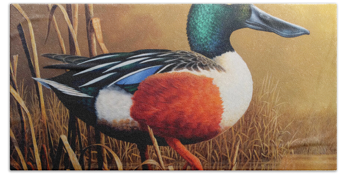 Shoveler Ducks Bath Towel featuring the painting Shoveler Drake by Guy Crittenden