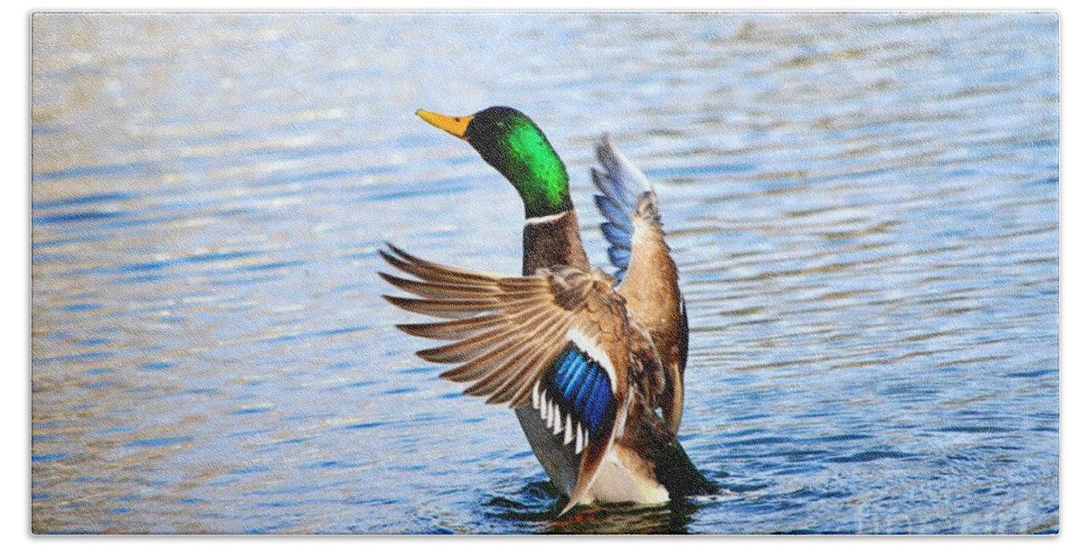 Mallard Hand Towel featuring the photograph Showing Off by Cindy Schneider