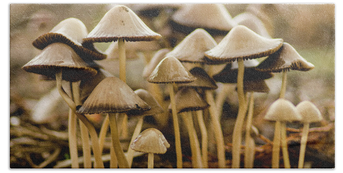 Mushrooms Hand Towel featuring the photograph Shrooms by Nick Boren