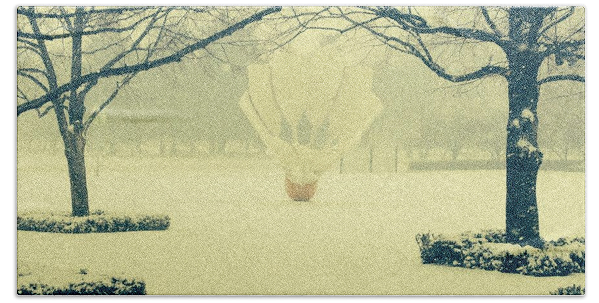 Nelson-atkins Bath Towel featuring the photograph Shuttlecock in the Snow by Michael Oceanofwisdom Bidwell