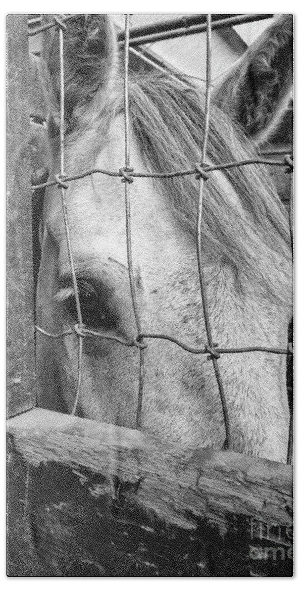 Horse Bath Towel featuring the photograph Shylashes by Becqi Sherman