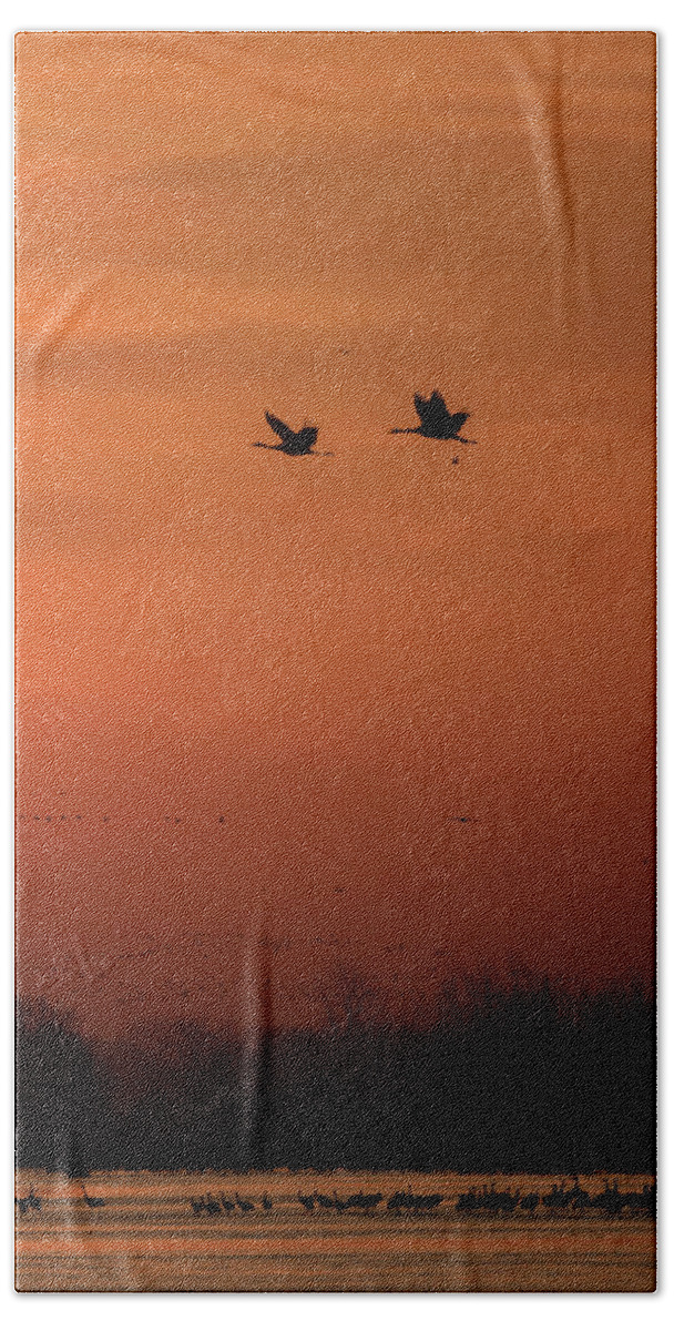 Sandhill Cranes Bath Towel featuring the photograph Sienna Skies #3 by Susan Rissi Tregoning