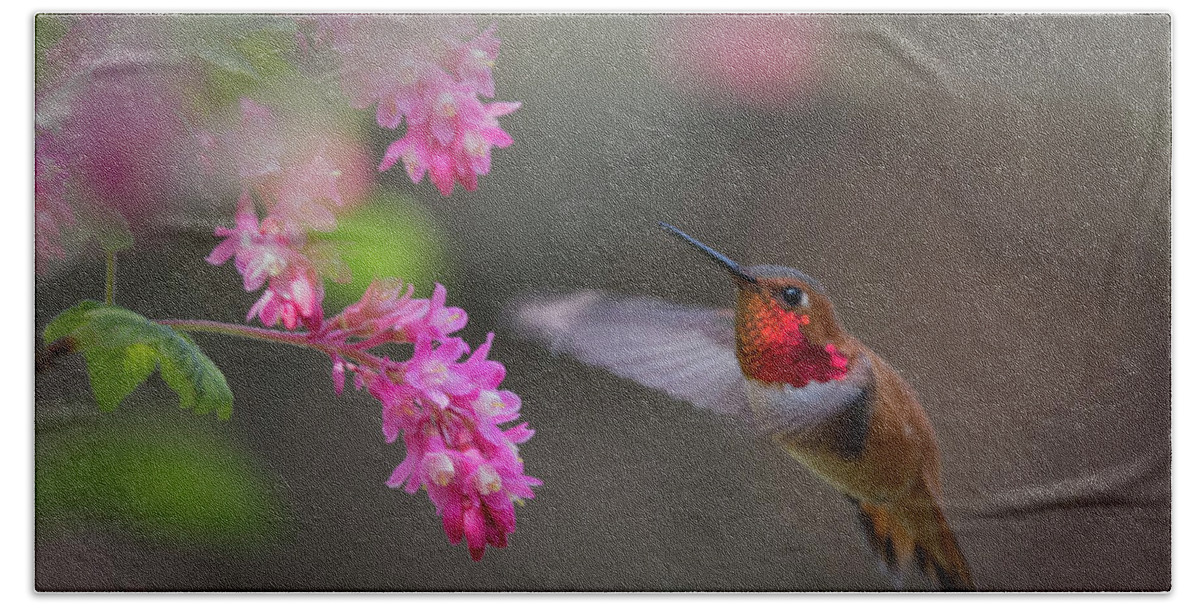 Rufous Hummingbird Bath Towel featuring the photograph Sign Of Spring by Randy Hall