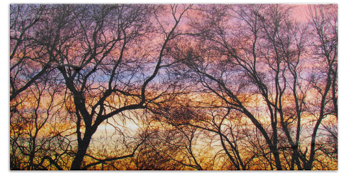 Photograph Bath Towel featuring the photograph Silhouette Sunset 43017 by Delynn Addams