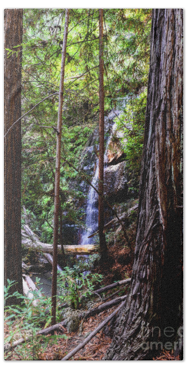 Silver Falls Hand Towel featuring the photograph Silver Falls Big Basin-8777 by Baywest Imaging